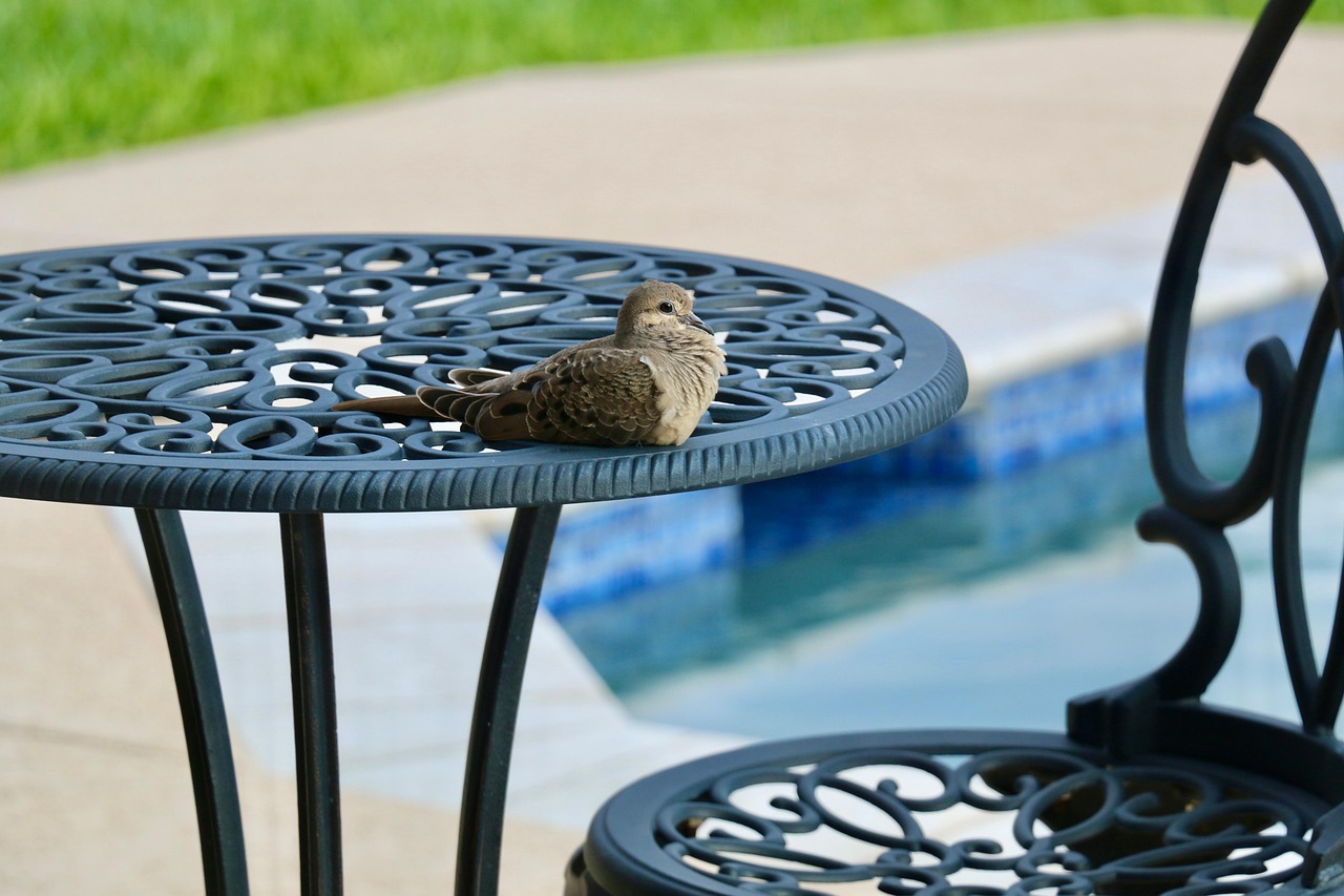 découvrez des idées de design pour votre patio d'été afin de créer un espace extérieur convivial, confortable et esthétique pour profiter du beau temps.