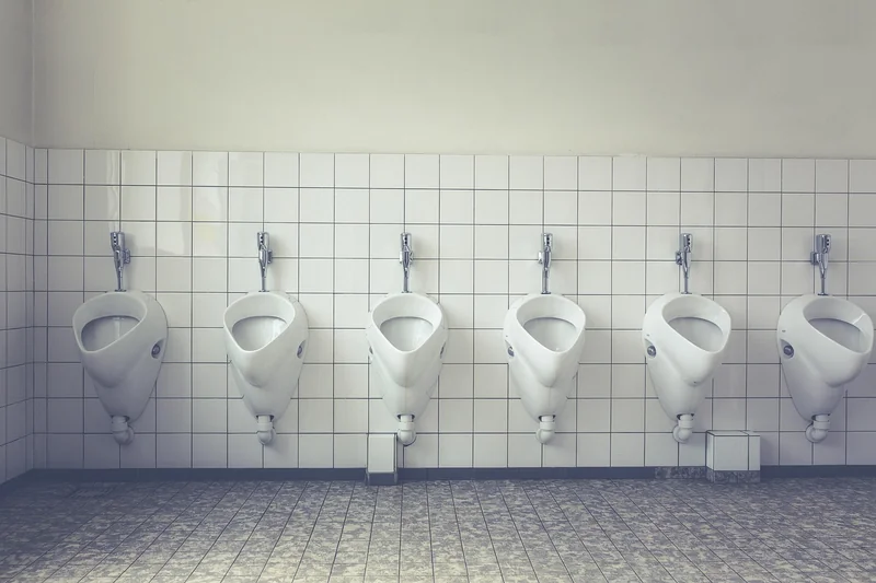 Les causes de leur apparition dans vos toilettes