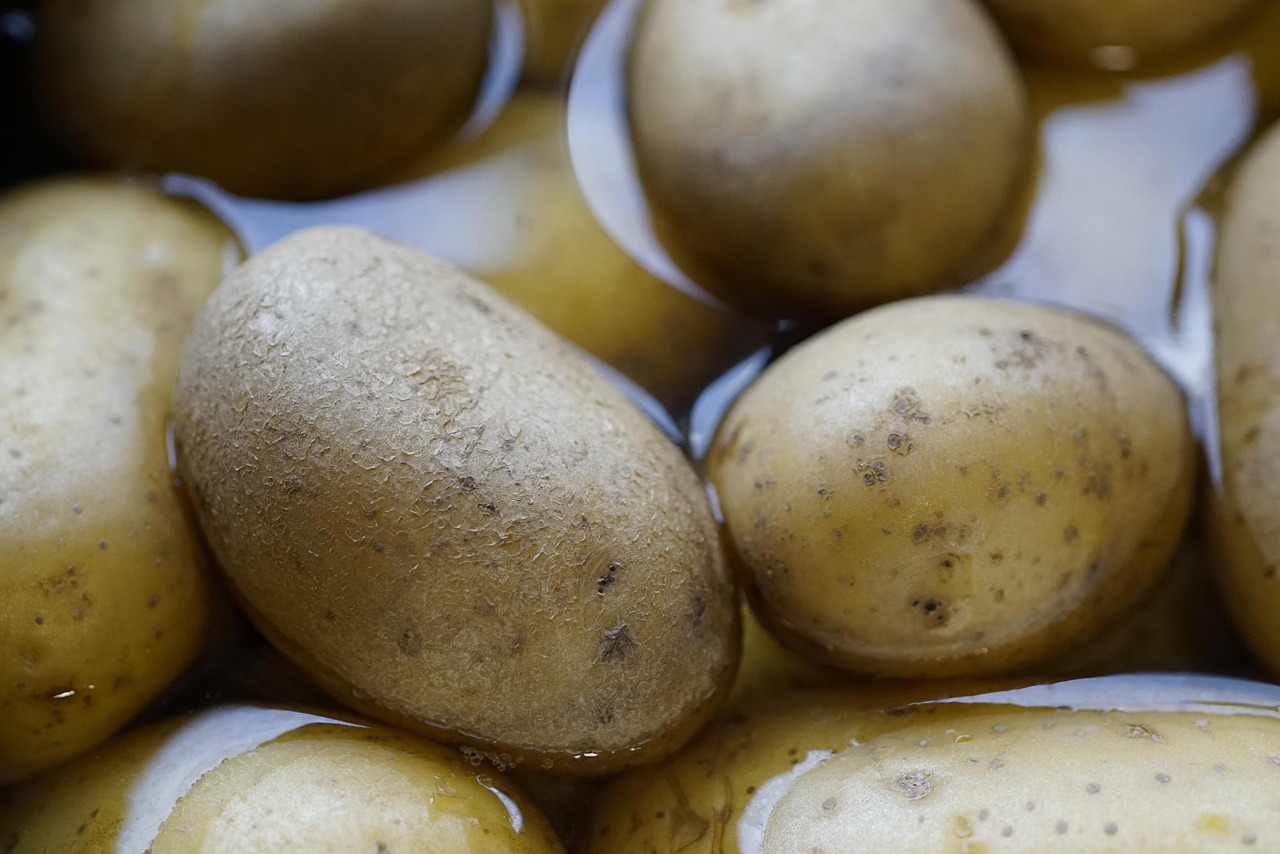 Les bases de la cuisine saine pour bien commencer