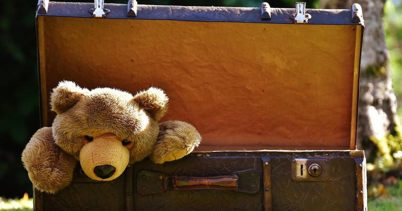 valise