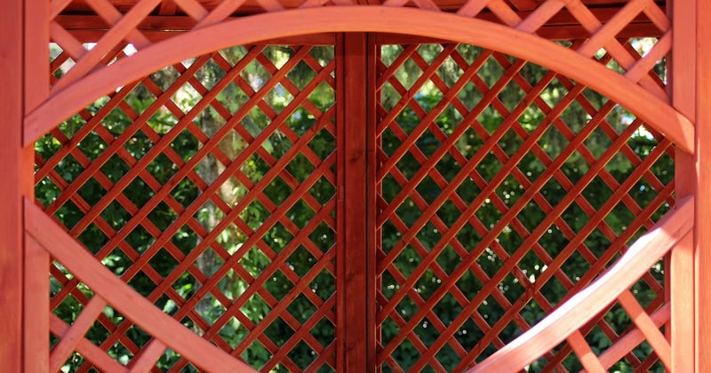 Pergola Brico Dépôt : le guide pour bien choisir et payer moins cher