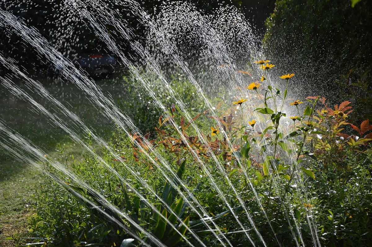 Révolution verte : découvrez les techniques innovantes pour jardin en 2026