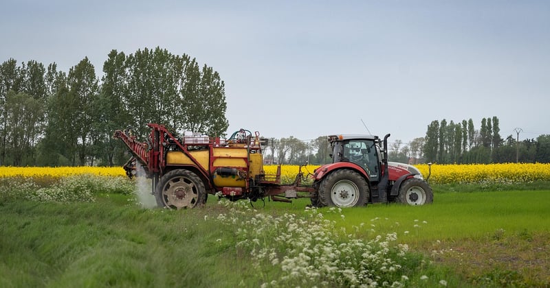 Desherbant puissant interdit : la liste noire qui inquiete les jardiniers