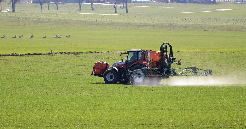Roundup Ultra Plus : le désherbant qui change la donne au jardin