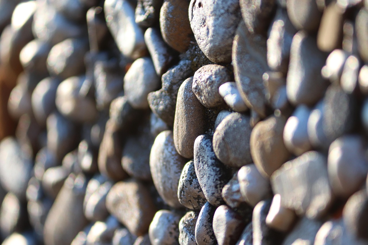 Tout savoir sur la dalle béton : types, préparation et applications