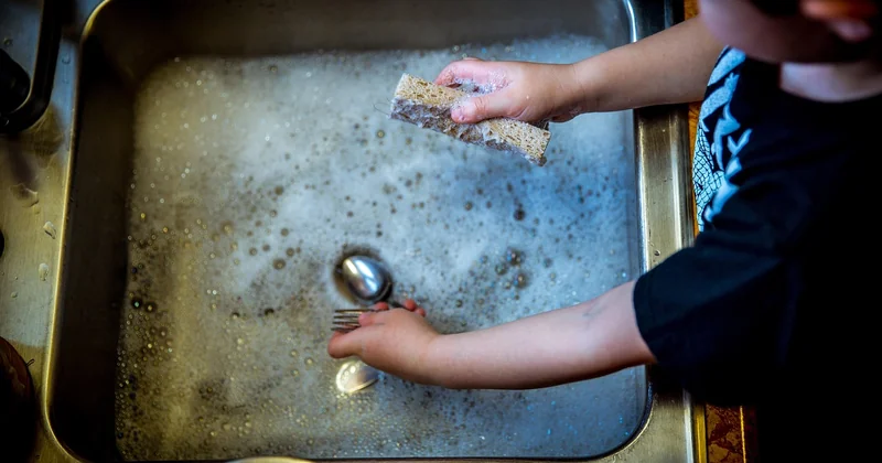 Quel cycle de lave-vaisselle pour la porcelaine ? Les réglages précis