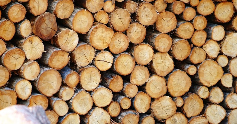 Un vestiaire d’entrée en bois massif : ce que ça coûte vraiment